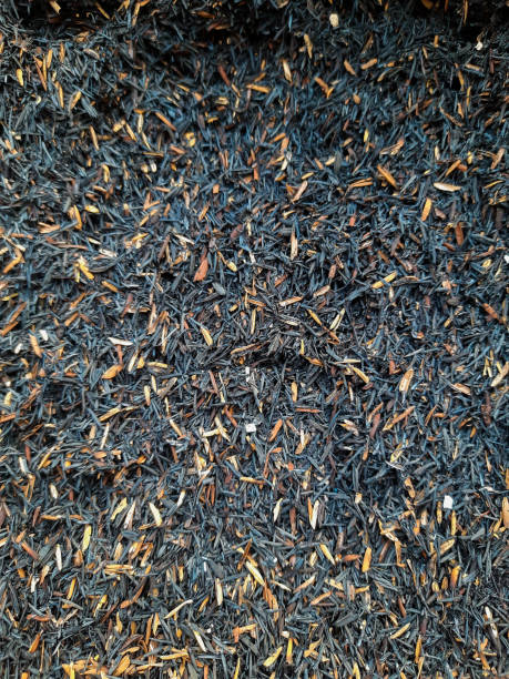 istock Full frame shot of chaff 1358056655