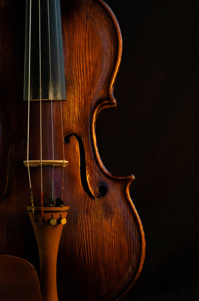Old violin with black backgroung