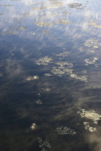 istock Polynya on the freezing Iren River 1358058256