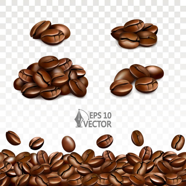 ziarna kawy, ciemne palenie, stosy kawy, ziarna kawy do reklamy, nasiona - raw coffee bean stock illustrations