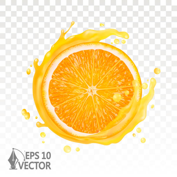 ilustrações, clipart, desenhos animados e ícones de fatia de laranja, suco fresco espirrando isolado em fundo branco, 3d realista, gráficos vetoriais - citrus fruit