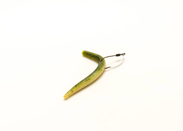 istock Green pumpkin plastic worm hooked in weedless bait holder hook isolated on white 1358061345