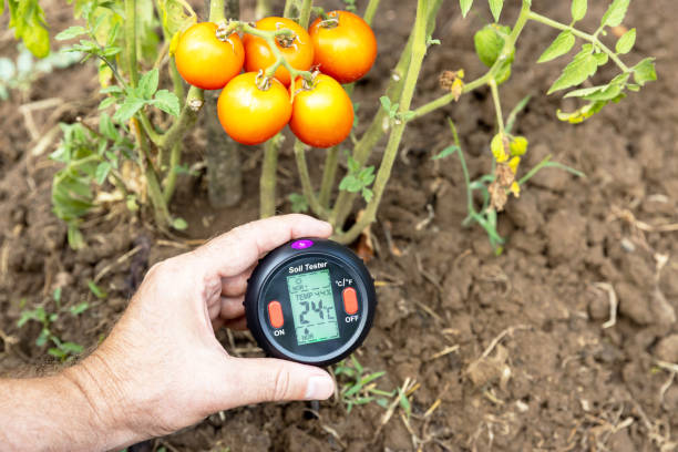 Measuring temperature, moisture content of the soil, environmental humidity and illumination in a vegetable garden Measuring temperature, moisture content of the soil, environmental humidity and illumination soil tester stock pictures, royalty-free photos & images