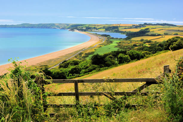 Slapton Sands and the Ley A view along the Devon coast at Slapton Sands, with The Ley at Torcross devon photos stock pictures, royalty-free photos & images