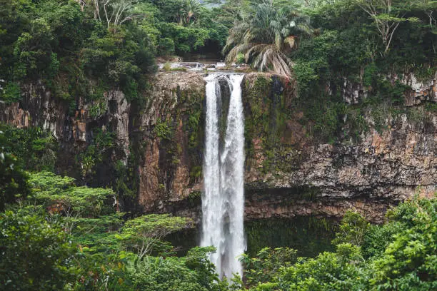 Photo of chamarel waterfall mauritius