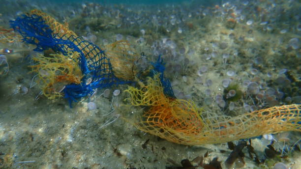 istock Plastic garbage underwater, Aegean Sea, Greece, Halkidiki. Sea pollution. 1358075062