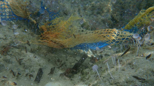 istock Plastic garbage underwater, Aegean Sea, Greece, Halkidiki. Sea pollution. 1358075088