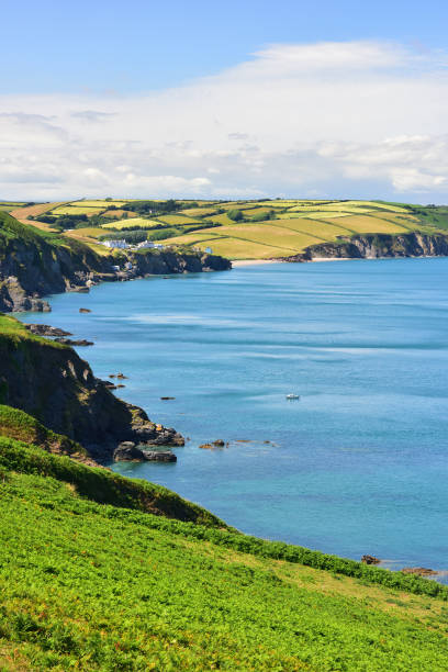 istock The Northern Part of Start Bay in Devon 1358075465
