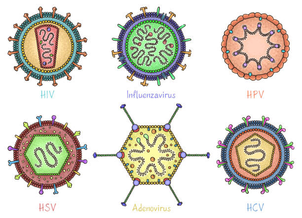 illustrations, cliparts, dessins animés et icônes de ensemble de différents virus dans un style dessiné à la main. - sida