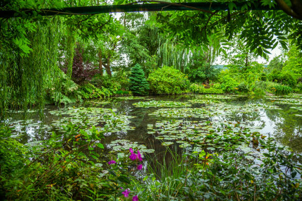 Claude Monet's water garden in Giverny Claude Monet's water garden in Giverny, France foundation claude monet photos stock pictures, royalty-free photos & images