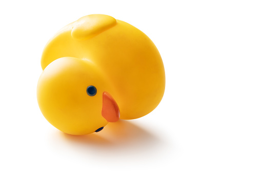 A small duck doll that is a toy for children at home