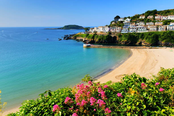 istock Looe Cornwall beach with pink flowers beautiful coast scene 1358083230