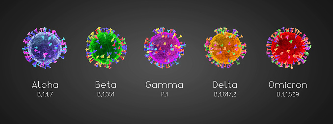 SARS-CoV-2, Covid-19 virus variants classification: alpha (B.1.17), beta (B.1.351), gamma (P.1), delta (B.1.617.2), omicron (B.1.1.529) - 3D illustration. Colorful cells on grey background.