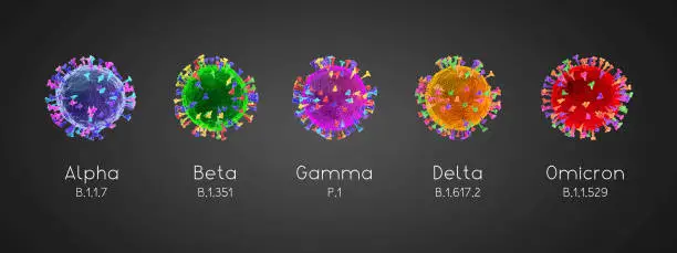 SARS-CoV-2, Covid-19 virus variants classification: alpha (B.1.17), beta (B.1.351), gamma (P.1), delta (B.1.617.2), omicron (B.1.1.529) - 3D illustration. Colorful cells on grey background.