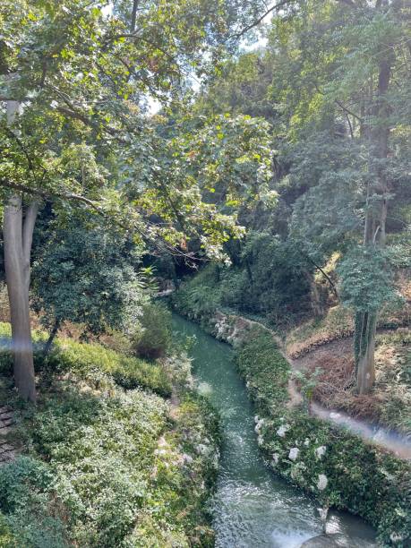 istock The river in the park 1358086323