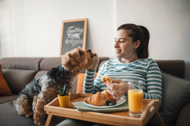 istock Woman Having Breakfast With Her Dog On The Sofa 1358090629