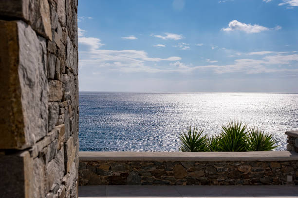Beautiful view on horizon over water. Blue sea and sky background. Sun reflecting on water surface. Tropical plants. Poster background with large copy space. Relaxing summer vacation escape.