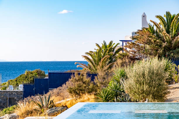 istock Corner of swimming pool and backyard with palm trees. 1358090795