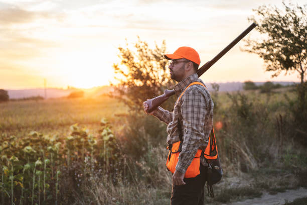 istock Upland Bird Hunting 1358091259