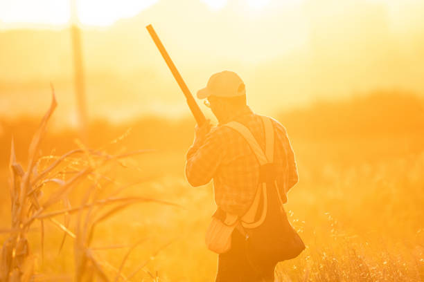 istock Upland Bird Hunting 1358091504