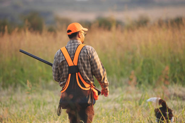 caça de aves de terras áres - pheasant hunting bird gamebird - fotografias e filmes do acervo