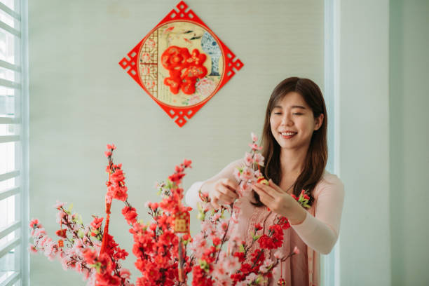 Asian chinese smiling women decorating chinese new year ornaments on cherry blossom stock photo