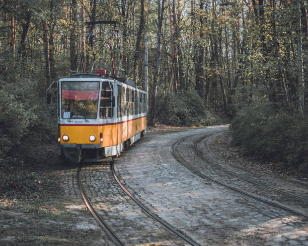 istock Orange tram in the woods 1358097718