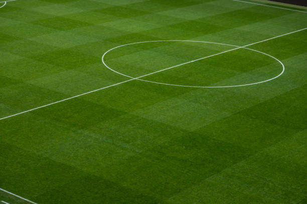 背景またはテクスチャのサッカーフィールドラインの詳細 - cut grass ストックフォトと画像