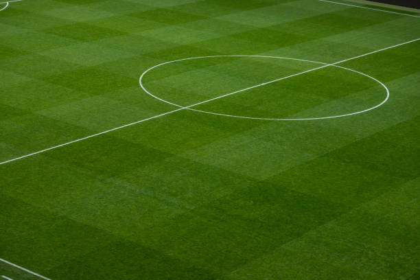 soccer field line detail for backgrounds or texture - turf white green horizontal imagens e fotografias de stock