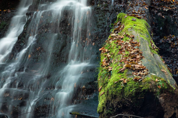 istock Tranquil waterfall scenery in the middle of autumn forest 1358100104