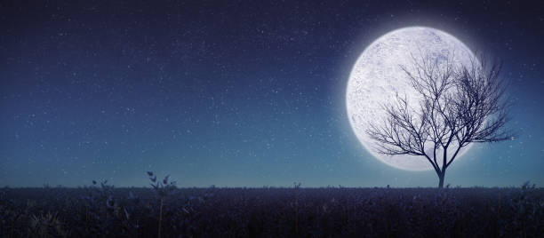 istock Full moon with silhouette tree and meadow.Panorama view3d. rendering 1358100222