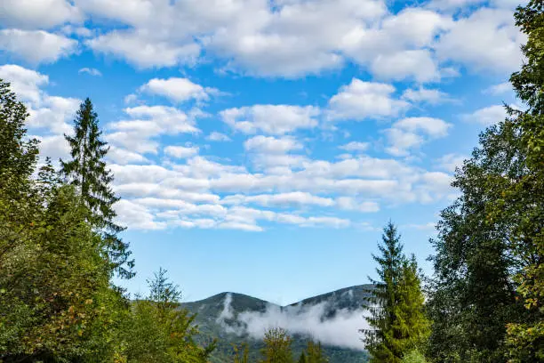 Photo of trees on a background of mountains and blue sky. place for the inscription.