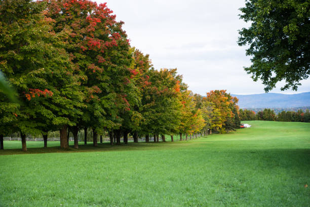 Beautiful Autumn Leaves at golf course in Ontario Canada