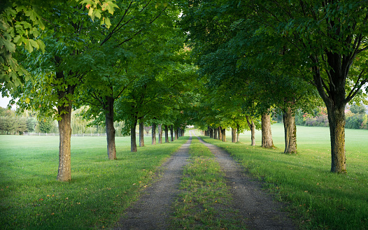 秋の壁紙 無料の Hd ダウンロード 500 Hq アンスプラッシュ 秋の壁紙 無料の Hd ダウンロード 500 Hq アンスプラッシュ