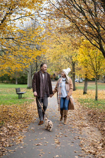 Caucasian couple in 50s and 60s walking dog in park Full length view of man and woman wearing warm fall attire holding hands and talking as they walk their terrier. dog disruptagingcollection stock pictures, royalty-free photos & images