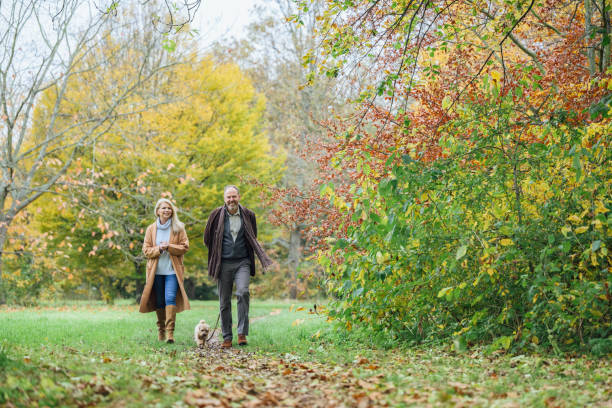 Man, woman, and dog enjoying autumn walk in public park Full length view of mature couple in warm attire smiling as they approach camera with terrier on leafy footpath in woodland area. mature adult walking dog stock pictures, royalty-free photos & images