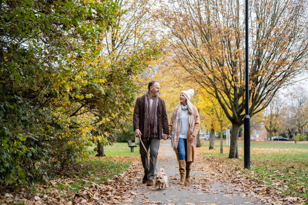 istock Mature couple walking terrier on footpath in public park 1358103510