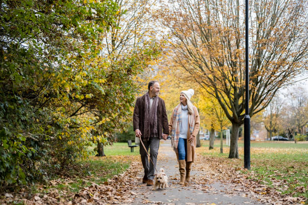 Mature couple walking terrier on footpath in public park Full length view of Caucasian man and woman in 50s and 60s holding hands and talking as they enjoy exercising amidst colorful fall foliage. wandsworth photos stock pictures, royalty-free photos & images