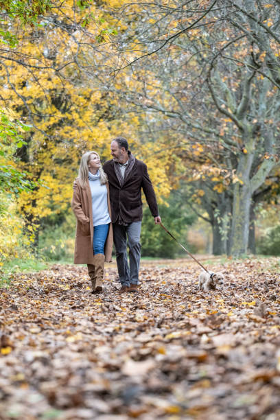 istock Smiling couple and terrier enjoying weekend walk in the park 1358103630