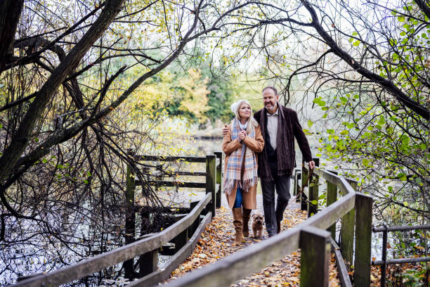 Cheerful couple with dog returning from lake view Full length view of Caucasian man and woman in 50s and 60s surrounded by autumn foliage as they walk across wooden bridge covered with fallen leaves. dog disruptagingcollection stock pictures, royalty-free photos & images