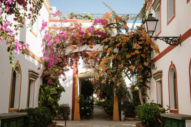 istock Puerto de Mogan in Grand Canary 1358103926