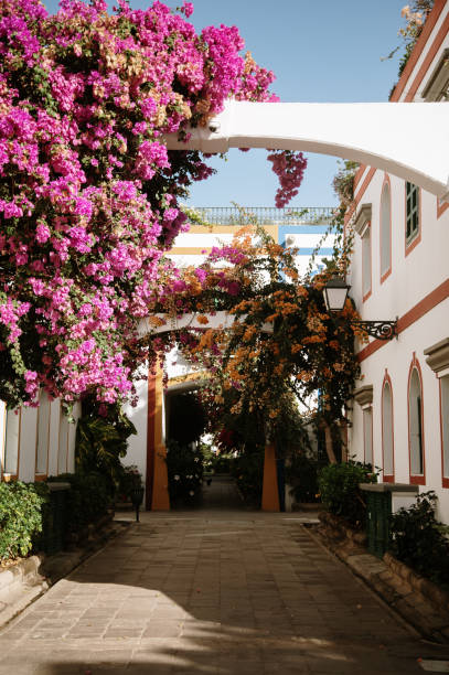 istock Puerto de Mogan in Grand Canary 1358104012