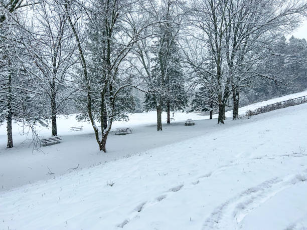 istock Boyd Conservation Park in winter, Woodbridge, Canada 1358105176