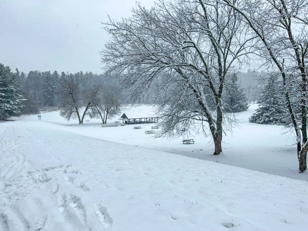 istock Boyd Conservation Park in winter, Woodbridge, Canada 1358105201