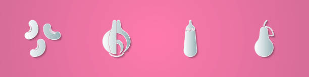istock Set paper cut Beans, Onion, Eggplant and Pear icon. Paper art style. Vector 1358106672