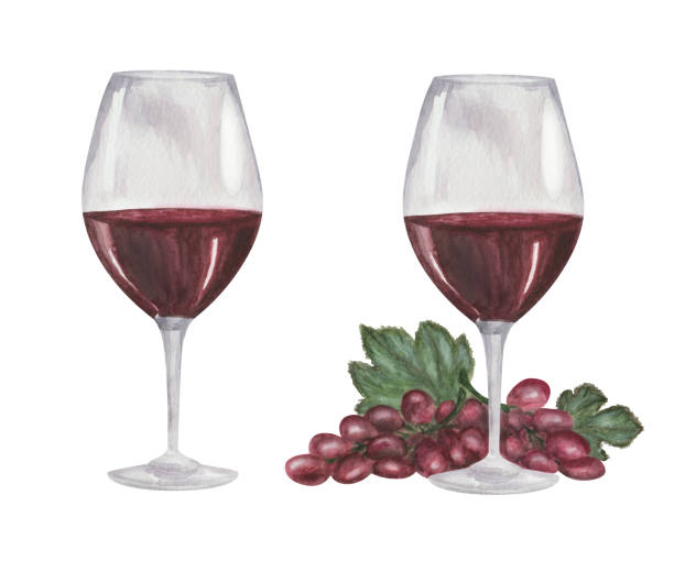 ilustrações de stock, clip art, desenhos animados e ícones de watercolor illustration of hand painted glass on long stalk with maroon wine and grapes. isolated clip art of refreshment for decoration menu in restaurant, cafe, bar. alcohol beverage drink - food and drink fruit cartoon illustration and painting