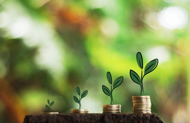 istock Money growth in soil and tree concept 1358109303