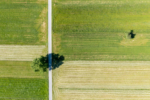 istock Aerial view of a road between fields 1358110492