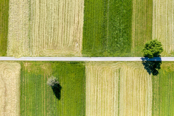 istock Aerial view of a road between fields 1358110501