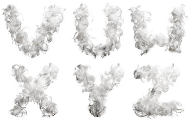 istock Letter of chicken feathers 135811268